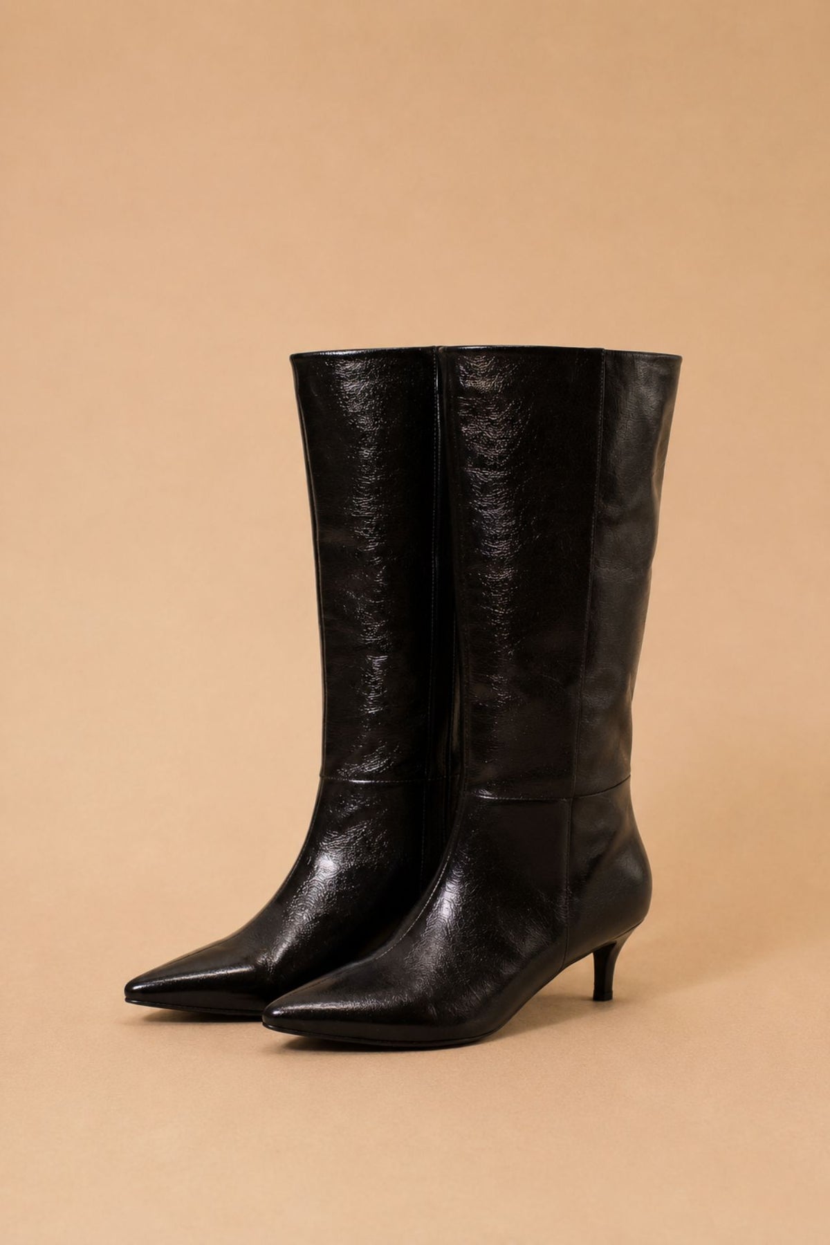 Botas Stiletto Negro